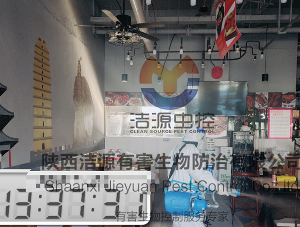 餐饮店消杀