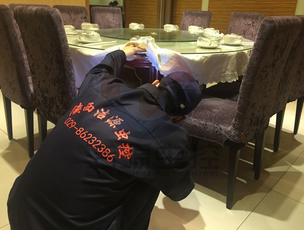 庆阳餐厅灭蟑螂公司