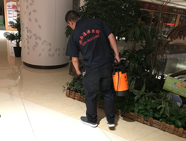 商洛蚊蝇杀灭