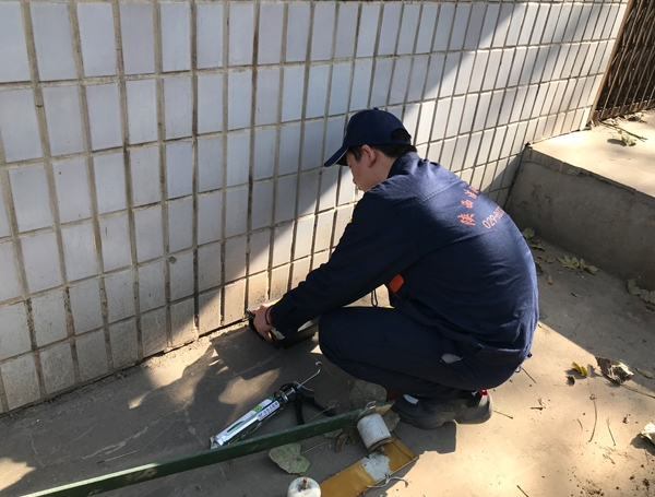中卫老鼠治理公司