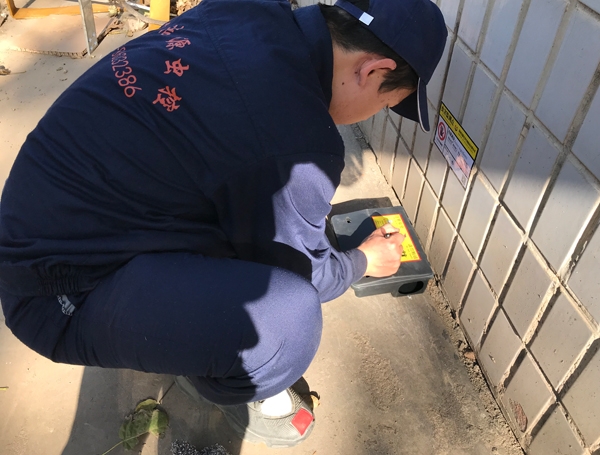 中卫老鼠治理