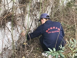 渭南灭蚊蝇公司