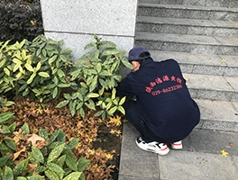 渭南灭蚊蝇公司