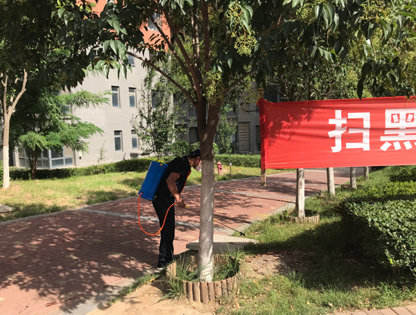 西安灭蟑螂公司